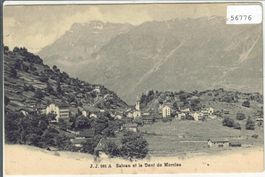 Salvan - Vue generale