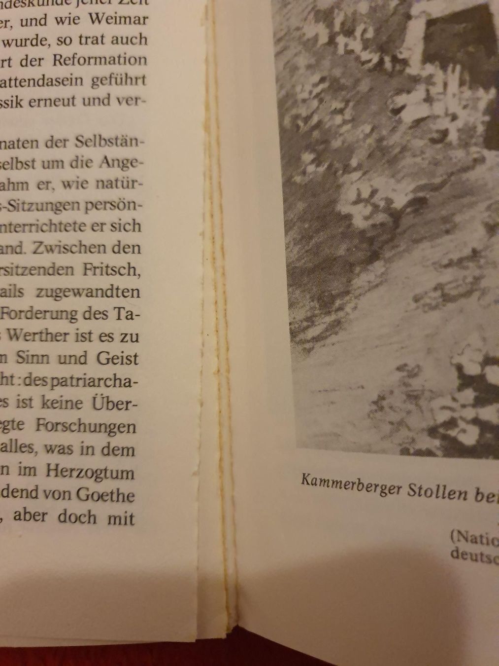 Libri: Goethe als Staatsmann – Usato da Langnau am Albis venduto da jer_pm72 3