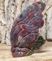 Ozeanjaspis Schmetterling