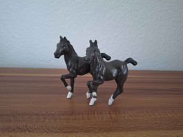 Fohlen unbekannte Marke Antiquariat