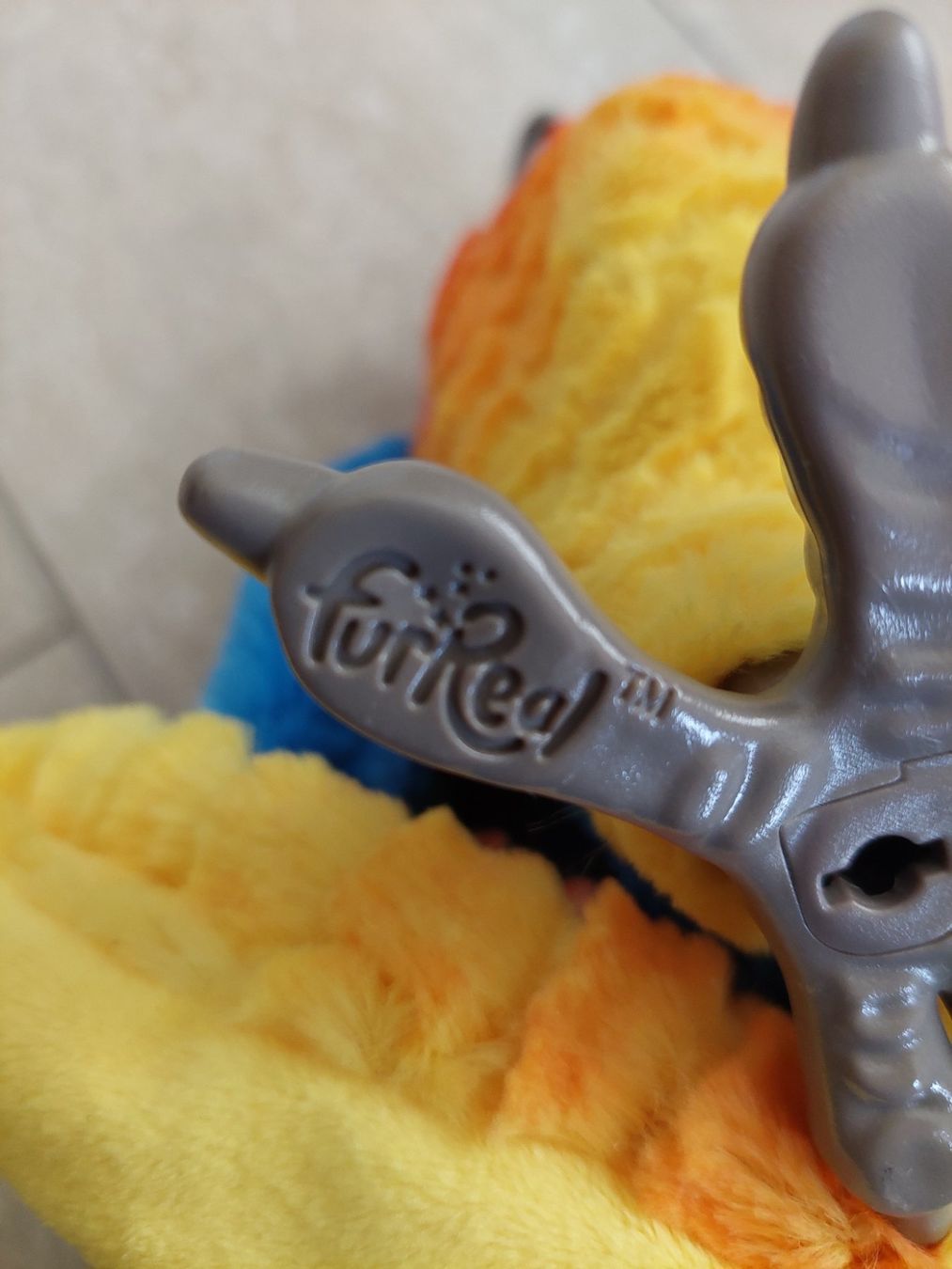 FurReal Giocattoli: FurReal interaktiver Papagei neu – Nuovo (secondo la descrizione) da Dürrenäsch venduto da mogbo18 2