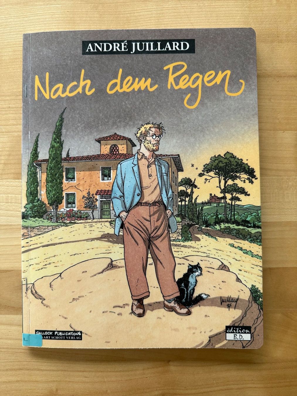Fumetti: André Juliard  Nach dem Regen – Nuovo (secondo la descrizione) da Zürich venduto da ruedigg