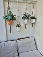 Plastik Pflanzen Balkon