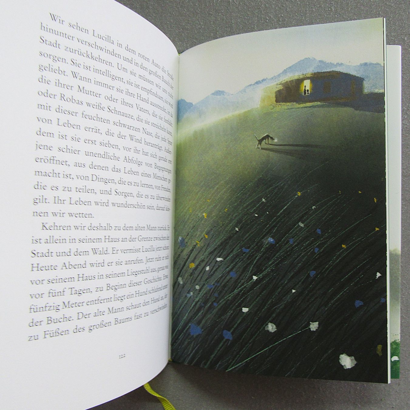 Bücher: OSSO - Geschichte einer Freundschaft - von Michele Serra – Gebraucht aus Auenstein von Padabimbim 6