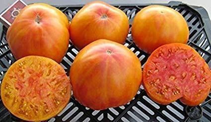 Pflanzen & Samen: 30 Samen FLAME Tomate – Neu (gemäss Beschreibung) aus Ehrendingen von VerveinaSamen 1