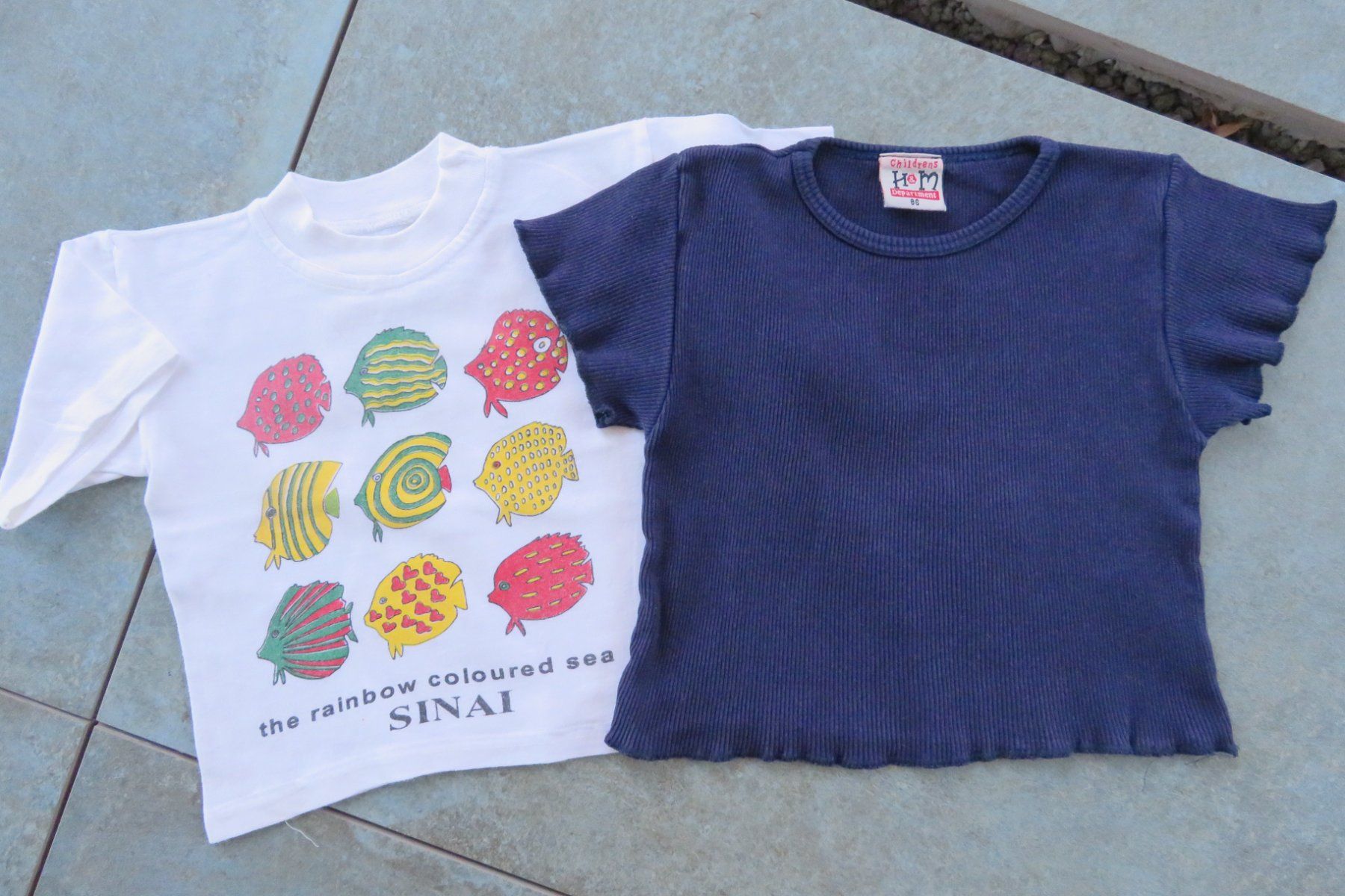 Camicie, Top & T-shirt: 2 T'Shirts Grösse 86 – Usato da Wil ZH venduto da Tamagy