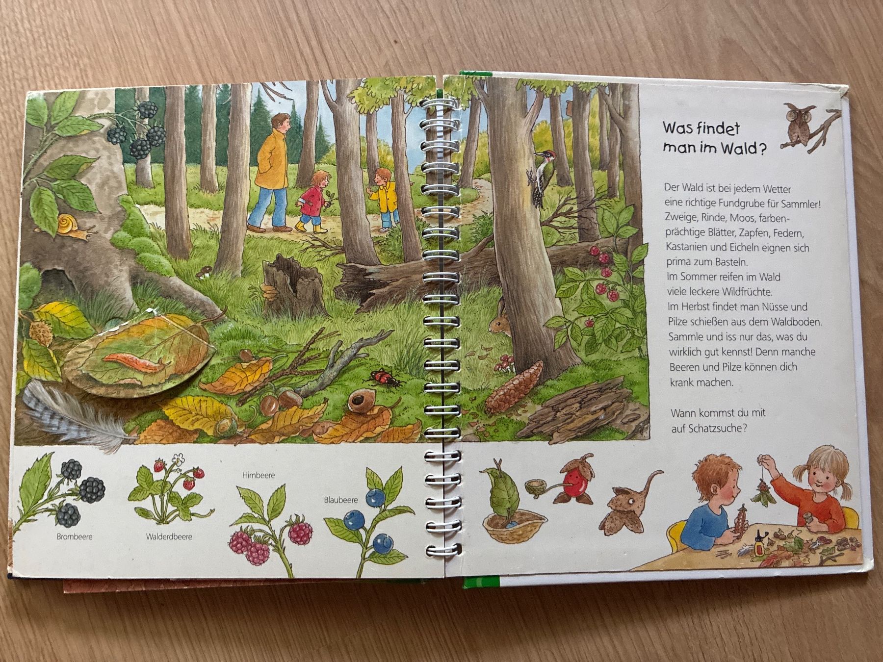 Bücher: Der Wald, Ravensburger, wieso, weshalb, warum – Gebraucht aus Eggenwil von mic_b5l2 3