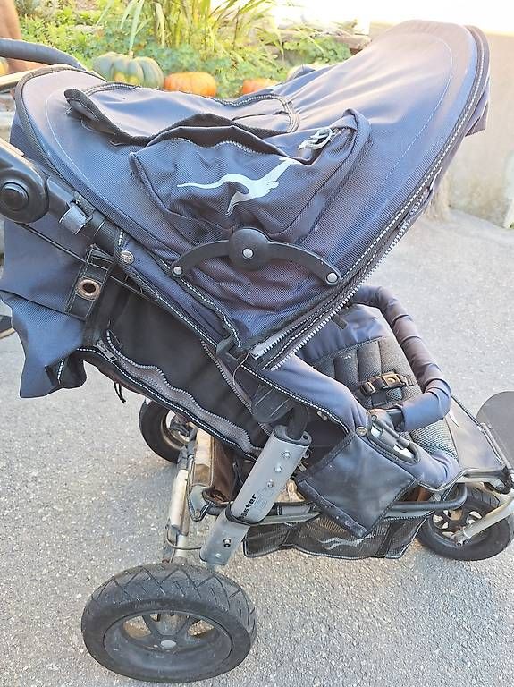 Kinderwagen: Kinderwagen Trend for Kids – Gebraucht aus Guggisberg von MariaLaubbaum 2