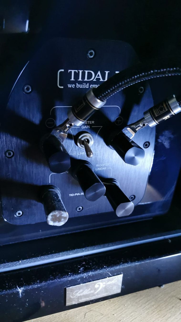 Casse acustiche: TIDAL PIANO 2 mit Diamanthochtöner – Usato da Kreuzlingen venduto da Bud777 2