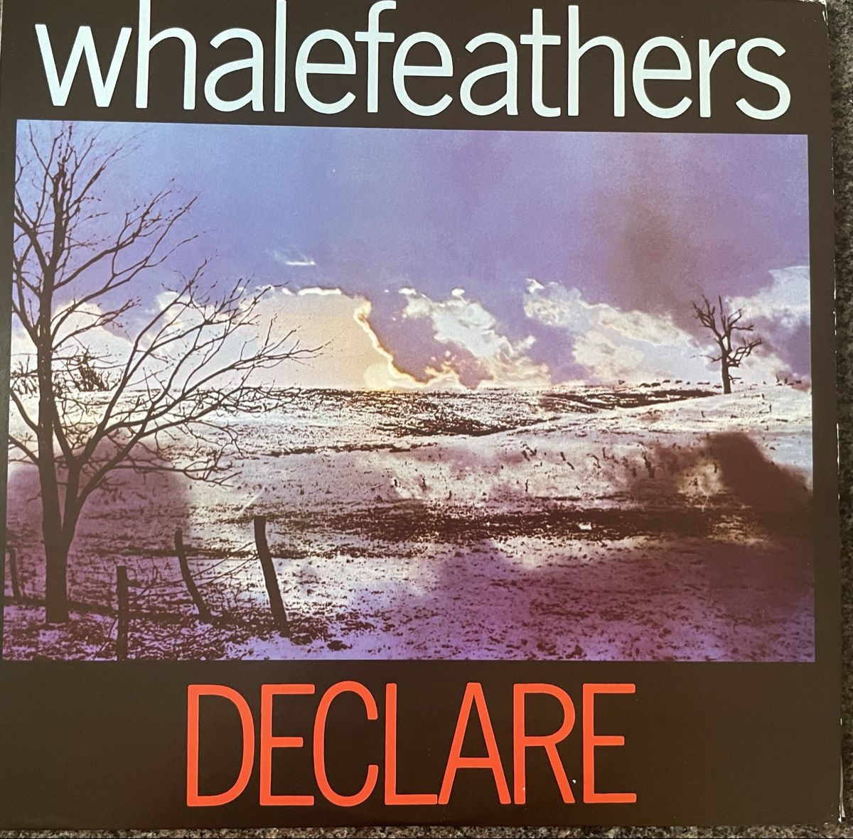 Dischi in vinile: Whalefeathers - Declare - AKARMA Vinyl LP – Usato da Olten venduto da Bluespapst