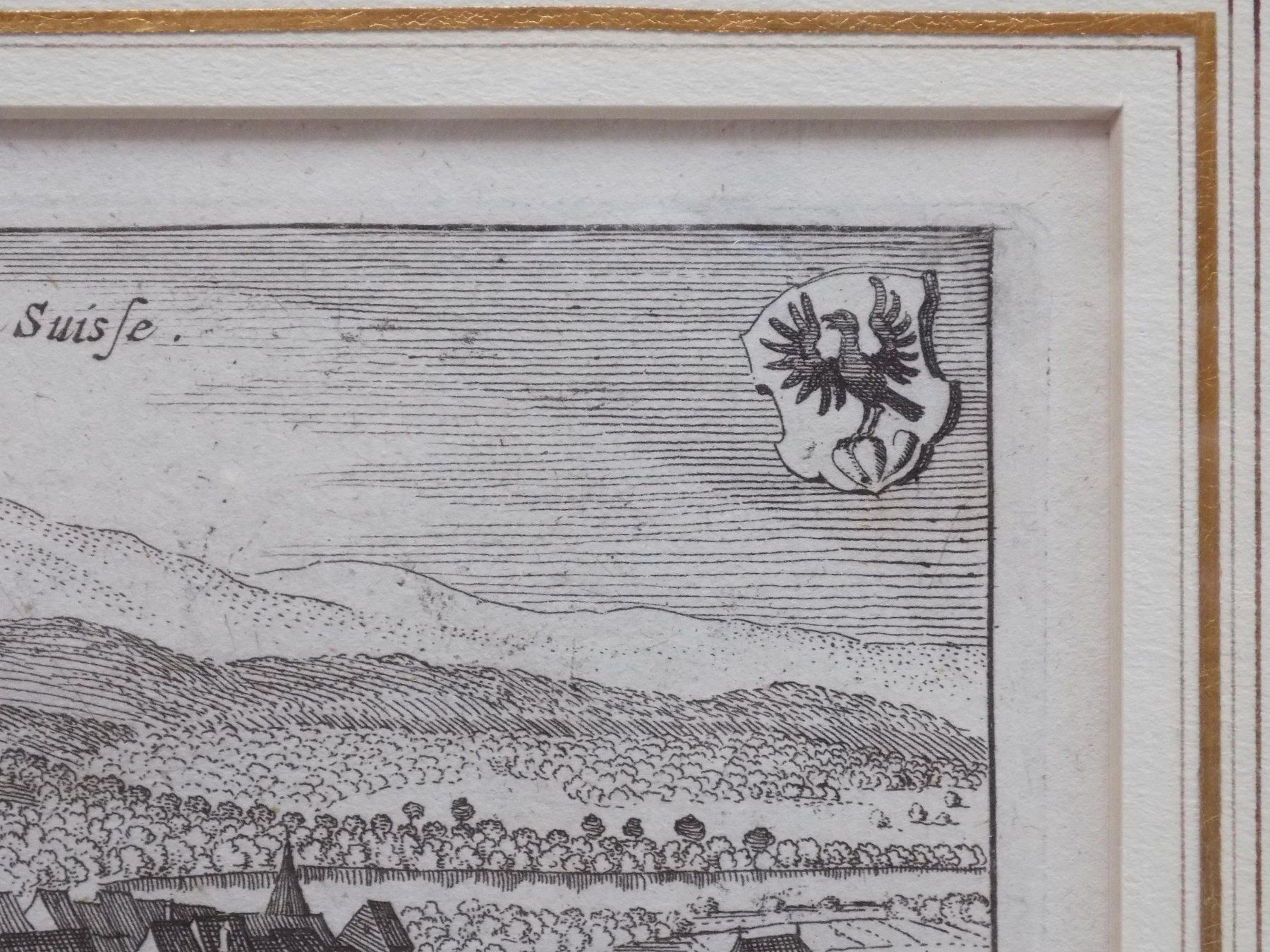 Incisioni: Aarberg von Scheuchzer selten – Usato da Risch venduto da Rischli15 4