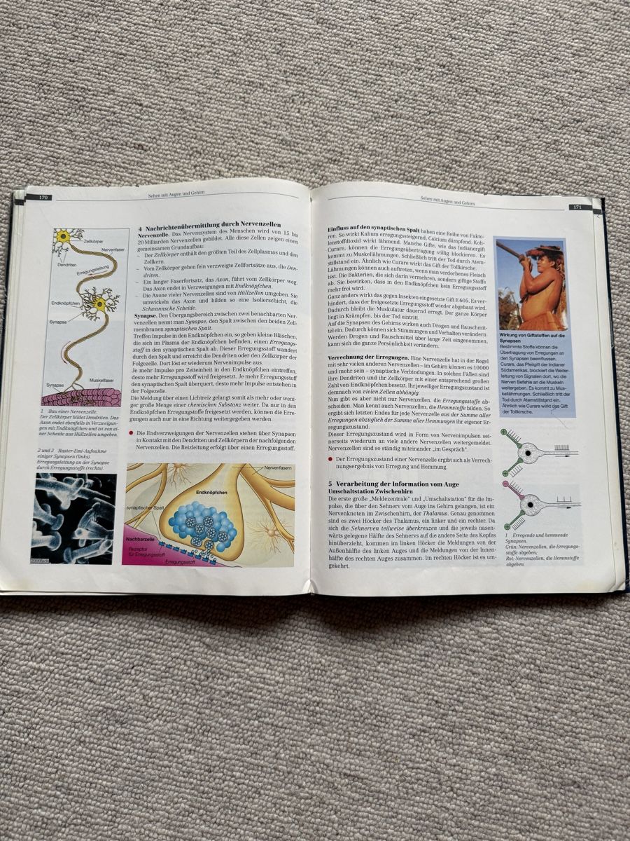 Bücher: Humanbiologie Buch  – Gebraucht aus Davos Glaris von noa_59j8 1