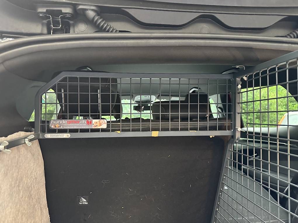 Käfige, Transport & Sicherheit: Hundegitter Renault Megane E-Tech – Gebraucht aus Magglingen/Macolin von ellocki 3