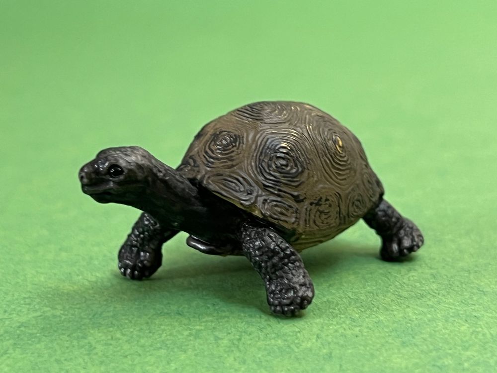 Schleich 14643 Riesenschildkröte Schildkröte Junges | Kaufen auf Ricardo