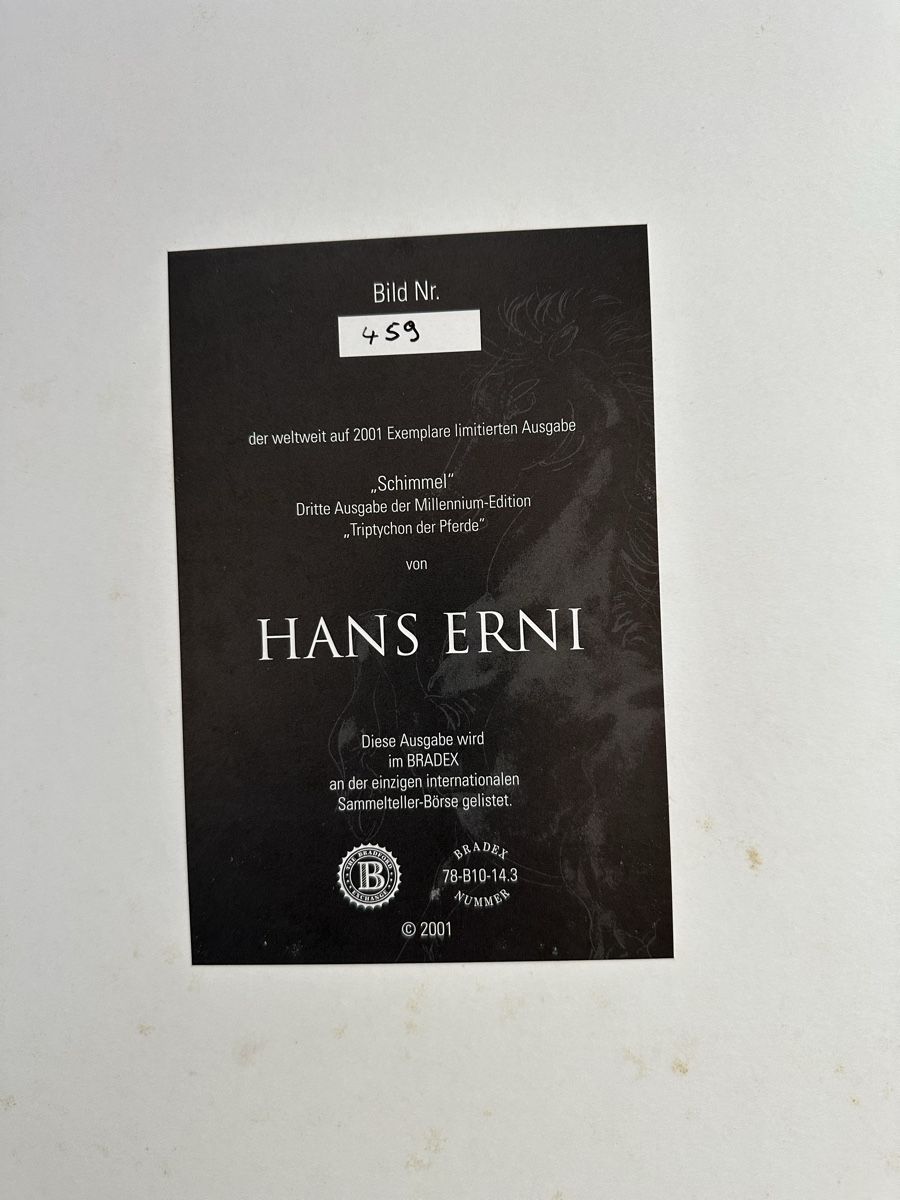 Foto & Immagini: Hans Erni Pferde Triptychon limitierte Edition nummeriert – Nuovo e nell'imballaggio originale da Muenchenstein venduto da Holiduli 3