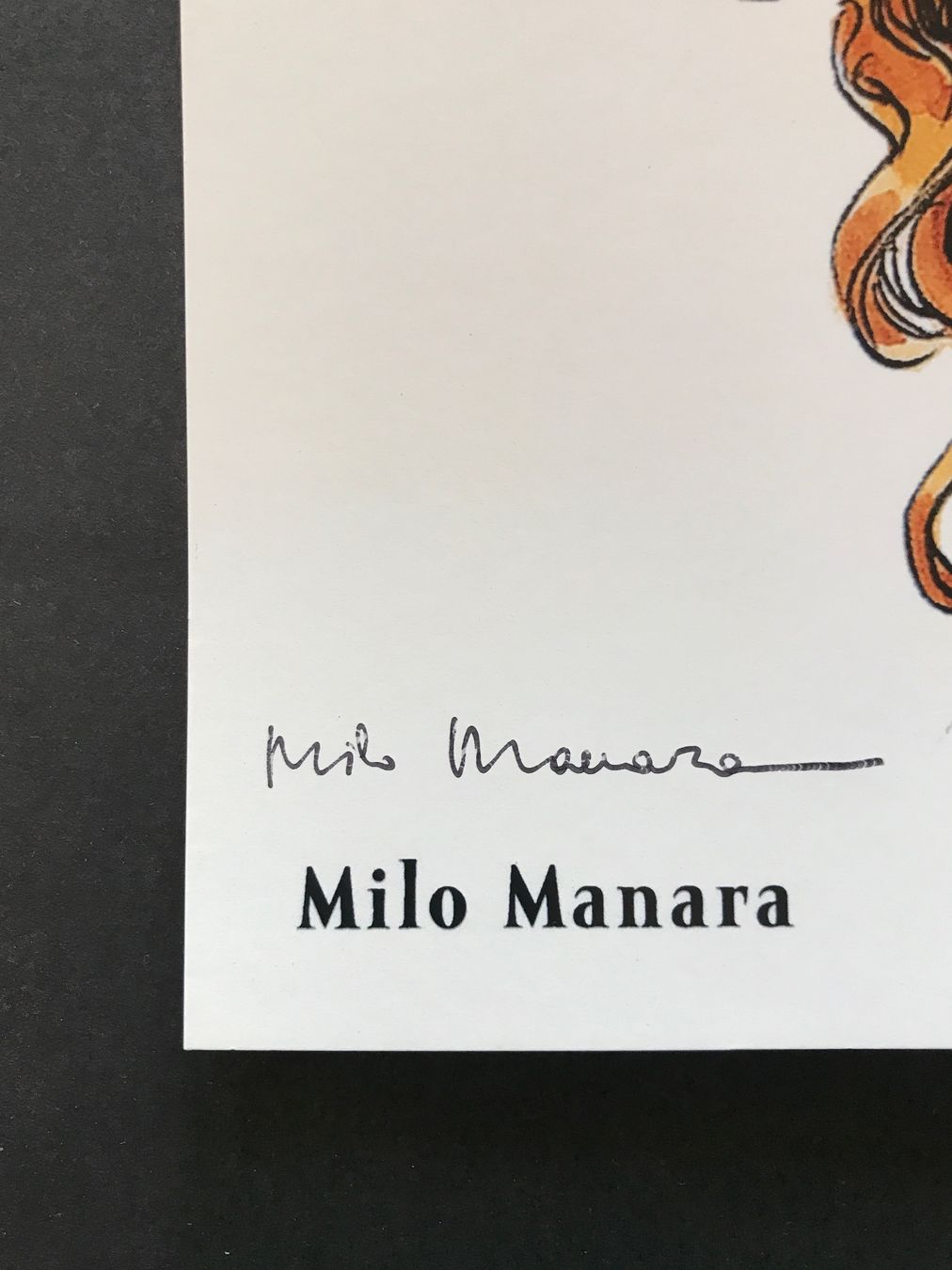 Foto & Immagini: MILO MANARA «Sandman» – Nuovo (secondo la descrizione) da Chatelaine venduto da arTrakT 3