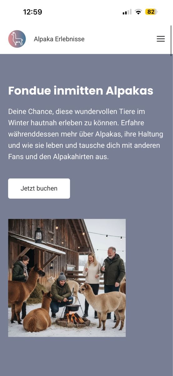 Buoni: Fondue mit Alpakas – Nuovo (secondo la descrizione) da Schlieren venduto da Icet2