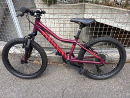 Ghost bike 20’