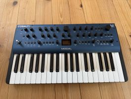 Synthesizer Modal Electronics Cobalt 8, neuwertig
