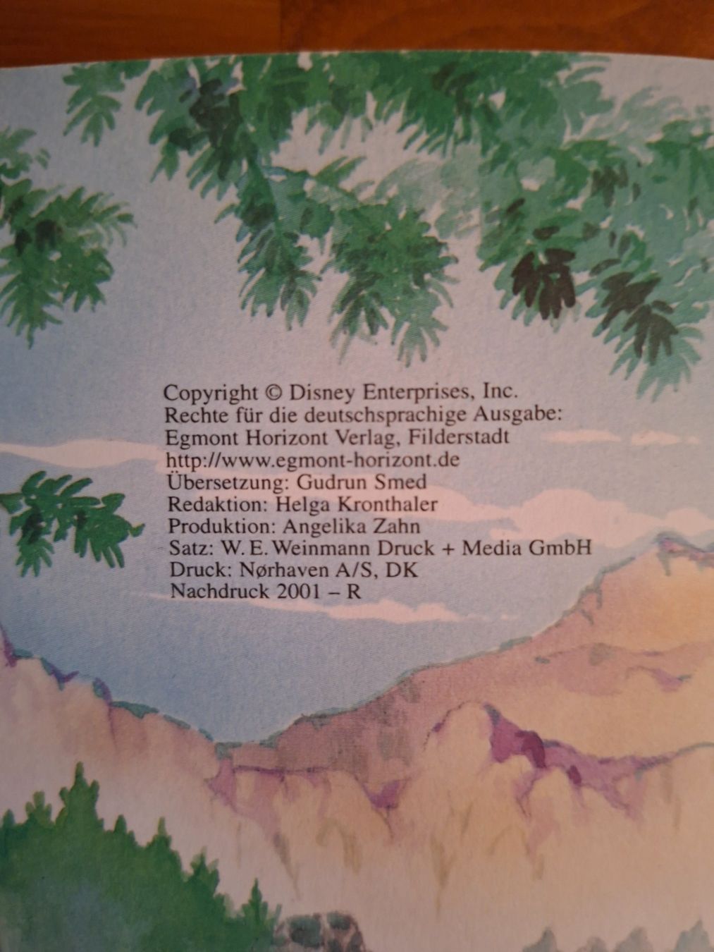 Libri: Walt Disney; Buch "Bambi" – Usato da Boniswil venduto da Totomat-Lady2 4