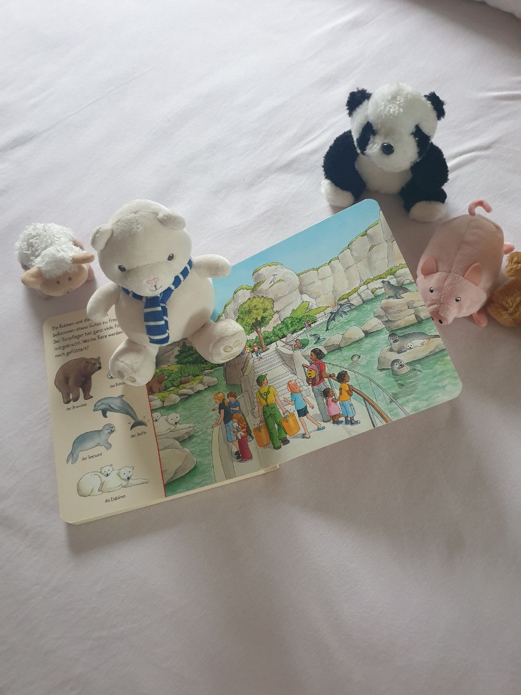 Giocattoli: Tierbuch Bilder suchen & 5 passende Kuscheltiere – Usato da Winterthur venduto da ivo_hmm2 4