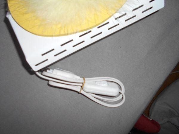 Lampen: Wandlampe Ente Liquidation – Neu und originalverpackt aus Schwarzenburg von Flamingo07 1