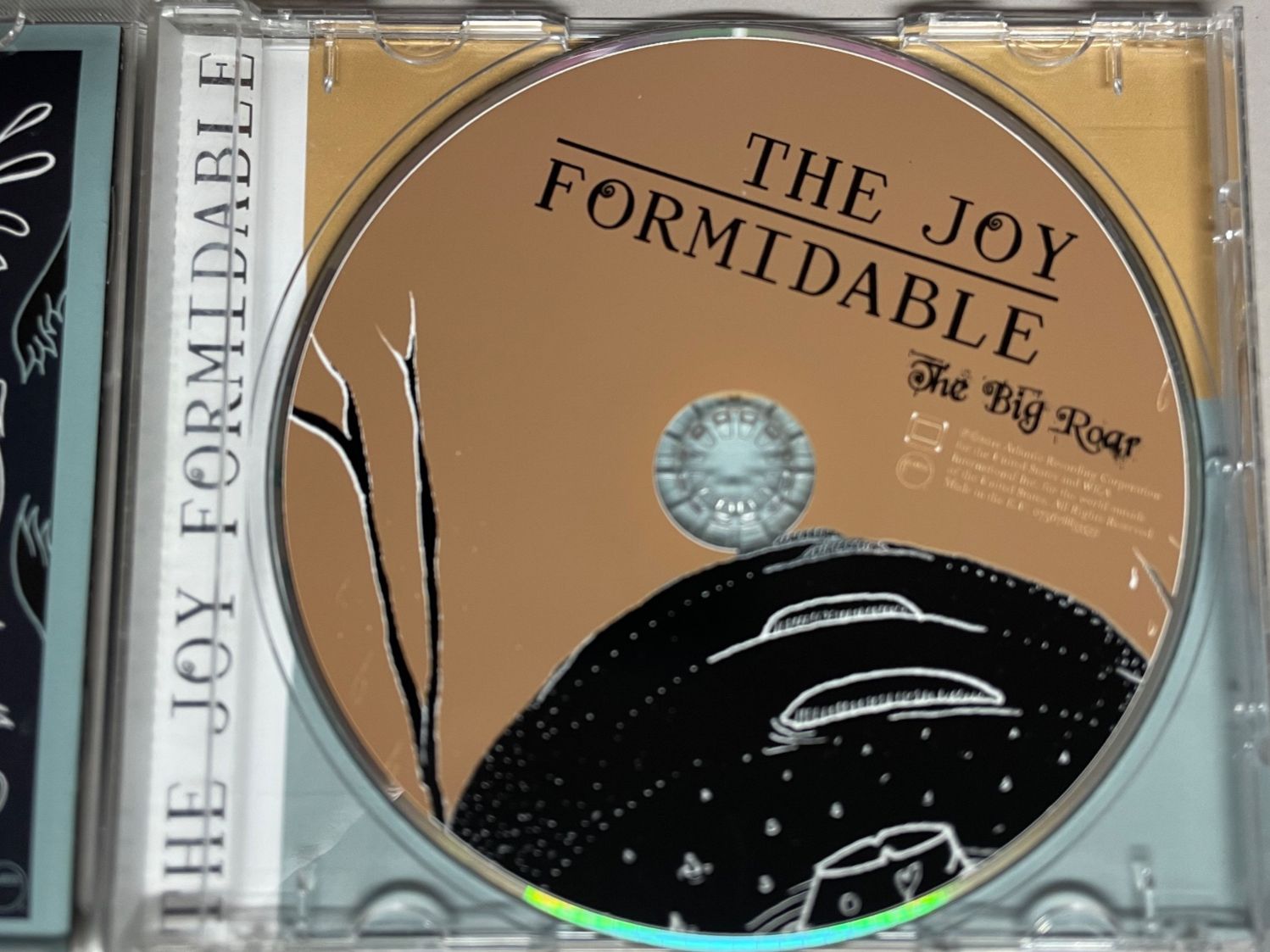 CDs: The Joy Formidable – Gebraucht aus Muri b. Bern von AdidasCollector 1