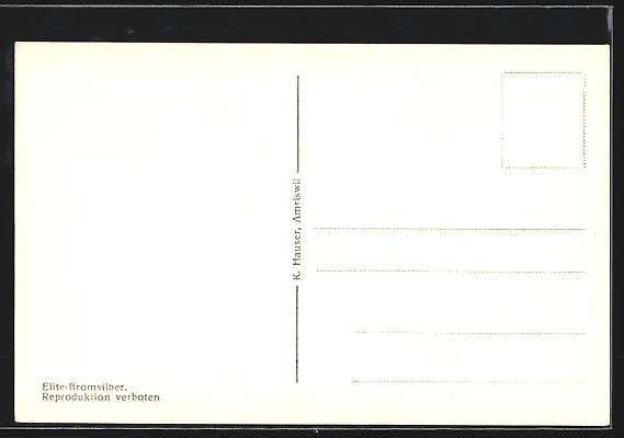 Cartoline postali: Amriswil, Obere Bahnhofstrasse mit Kaufh – Usato da Berlin venduto da bartko-reher 1