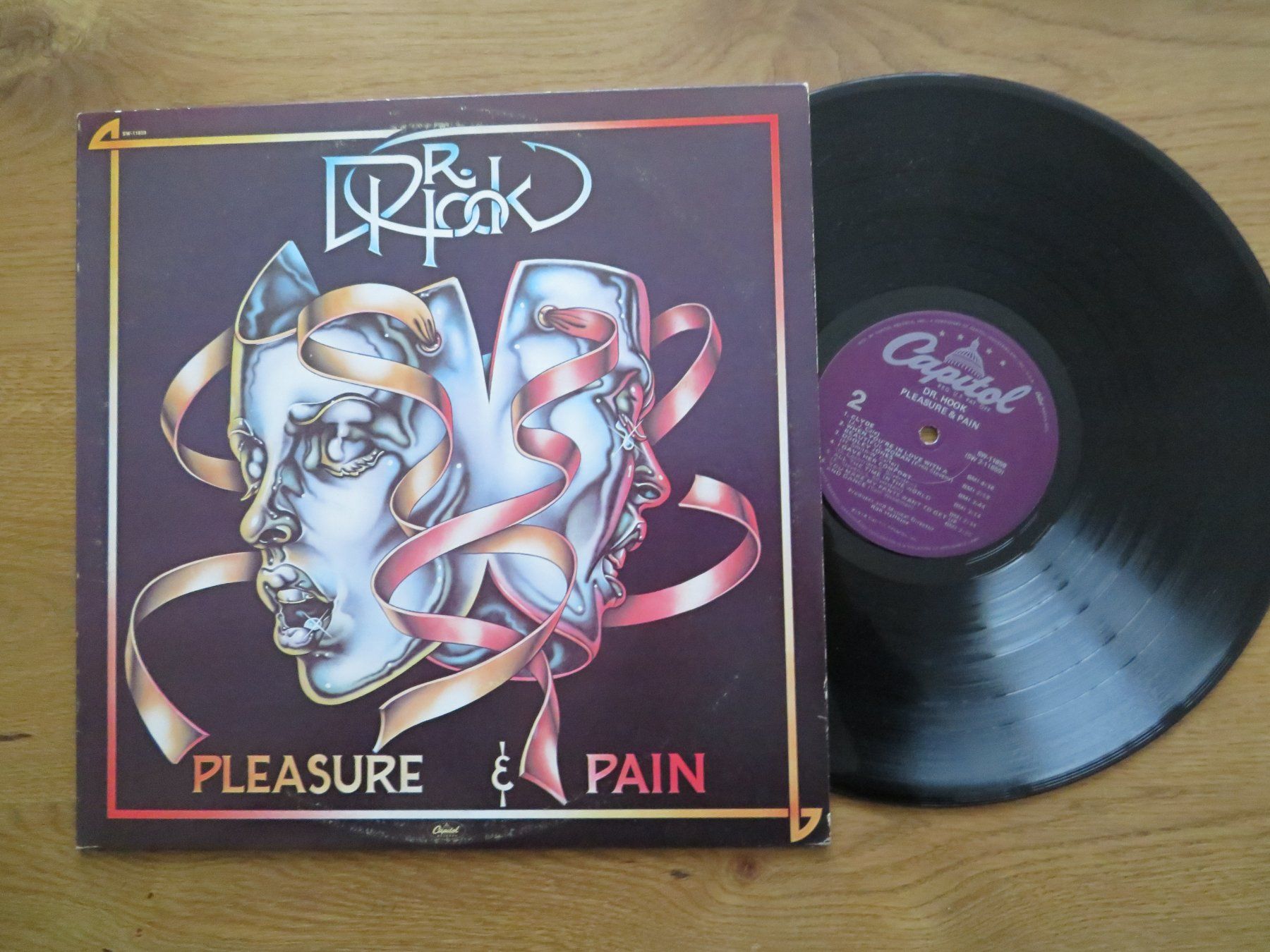 Dischi in vinile: DR HOOK PLEASUR U PAIN – Nuovo (secondo la descrizione) da Zürich venduto da max_cp5f