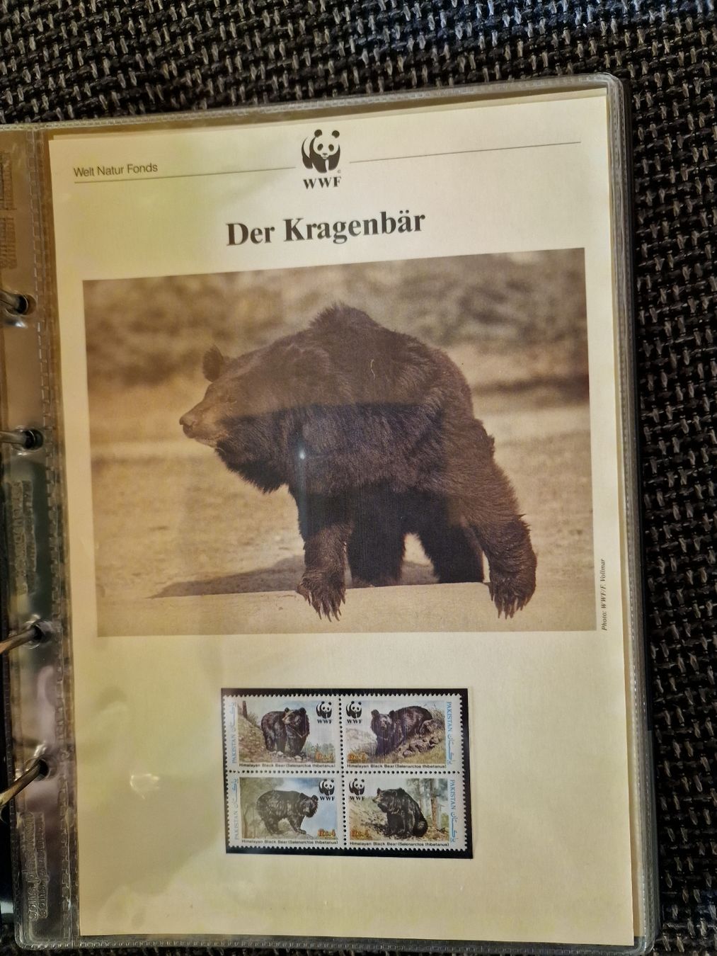 Alle Briefmarken: WWF-Briefmarken Sammel Album – Gebraucht aus Gossau SG von ush_db7j 7