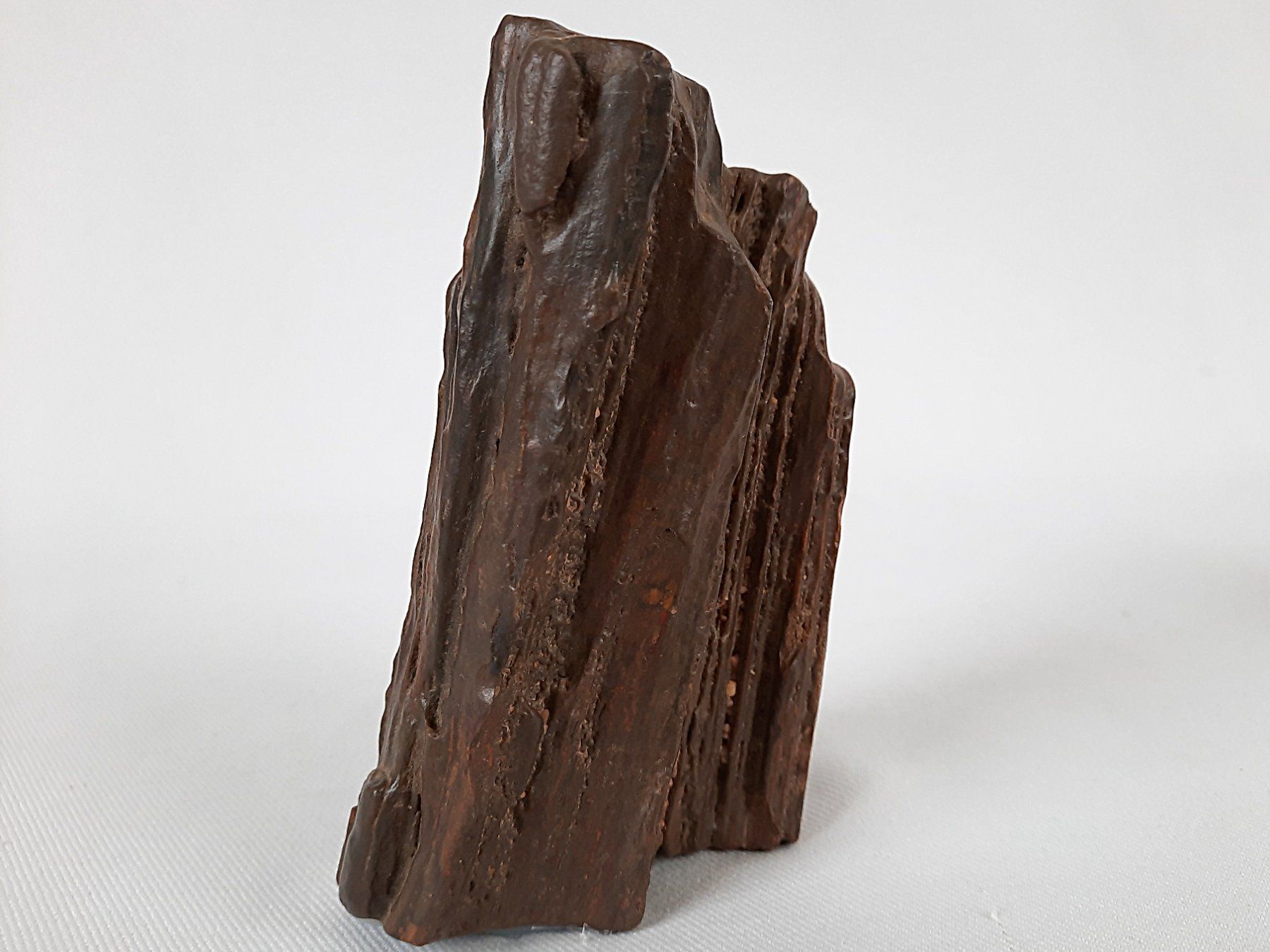 Minerali & Pietre curative: Fossiles Holz und Selenit-Turm – Usato da Beinwil am See venduto da Restwert_Beinwil 2