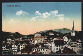 AK Wald, Panorama, 1922