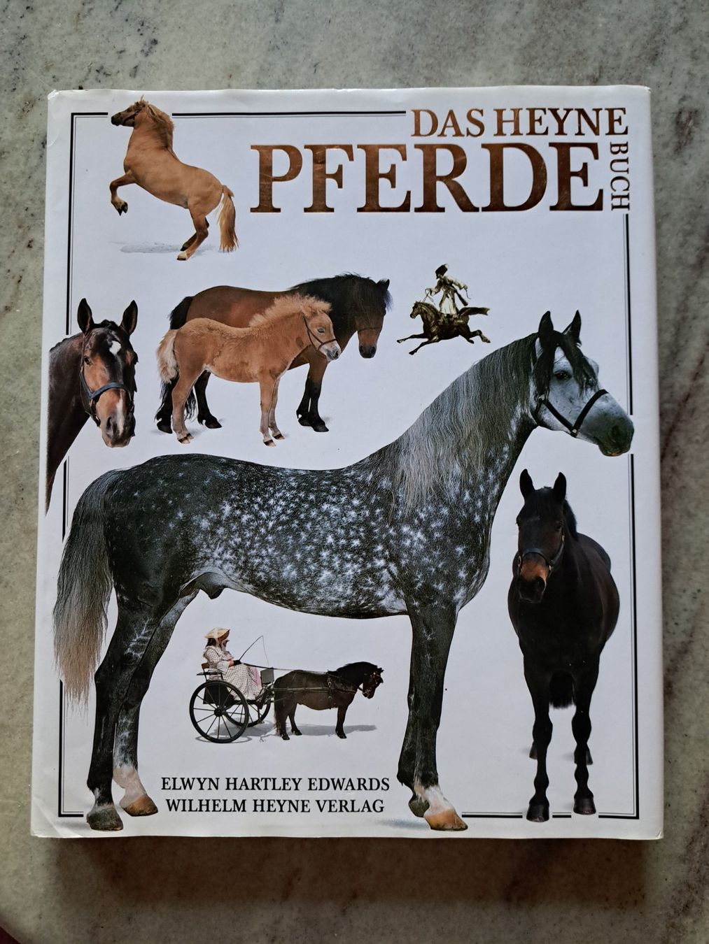 Bücher: Das Heyne Pferde Buch – Gebraucht aus Hettiswil von san_kf5h