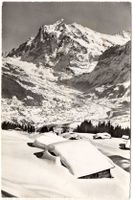 GRINDELWALD mit Wetterhorn - Männlichen-Ski-Abfahrt