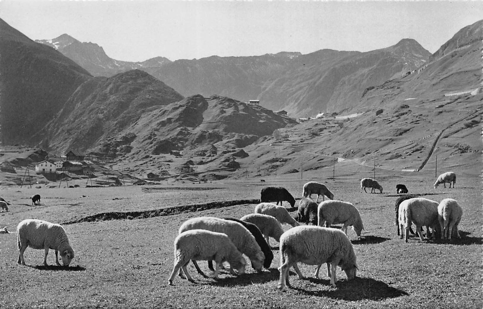 Cartes postales: Tschamutt – D'occasion à Ottikon b.Kemptth. par Neptun1974
