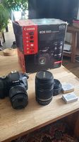 Canon EOS 550D + 3 objectifs