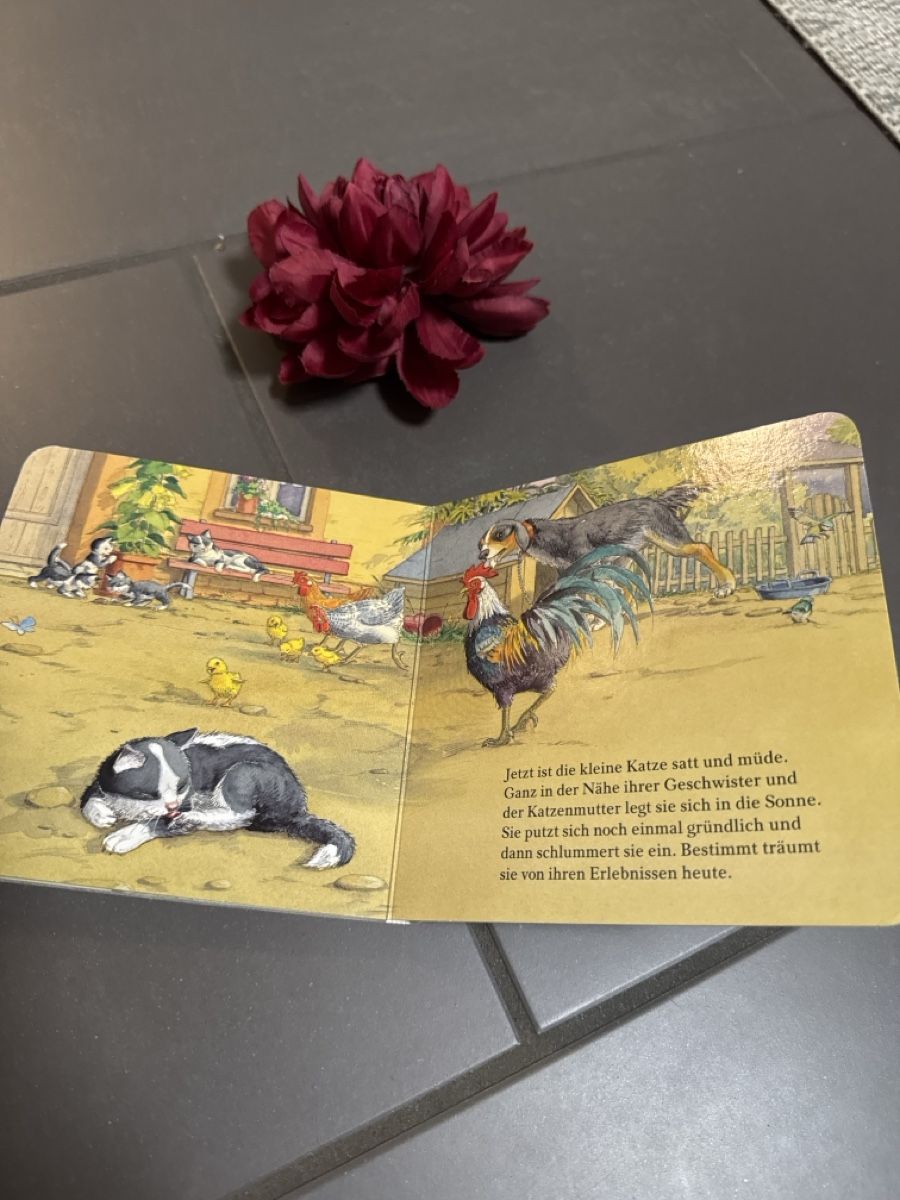 Libri: Was machst du, kleine Katze Kinderbuch – Usato da Zürich venduto da Belisimo 5