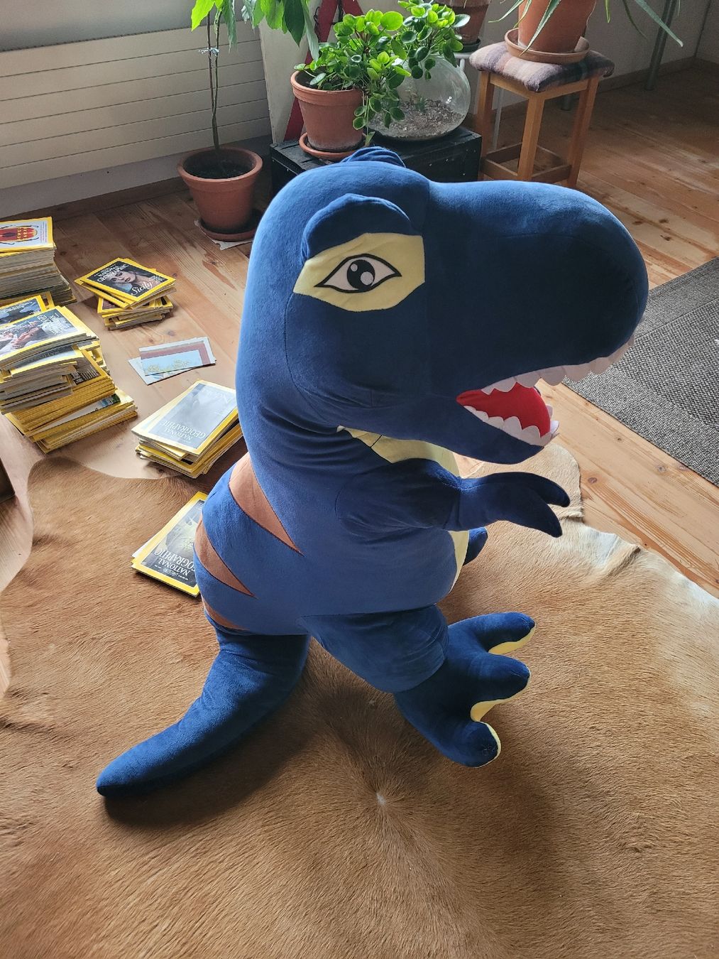 Spielzeuge: Plüschtier Dinosaurier (ca. ein Meter) – Neu (gemäss Beschreibung) aus Flaach von _michelle. 1