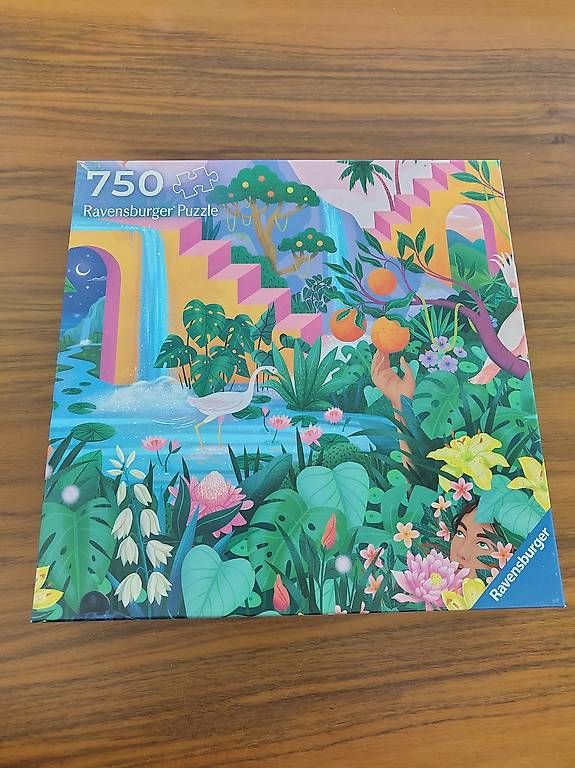 Puzzle: Ravensburger Puzzle 750  – Usato da Olten venduto da Schaenhu