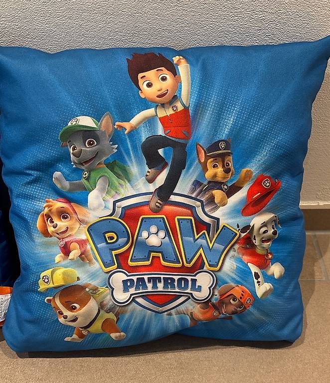 Kissen: 2 Paw Patroll Kissen – Gebraucht aus Ebmatingen von Nibo2 1