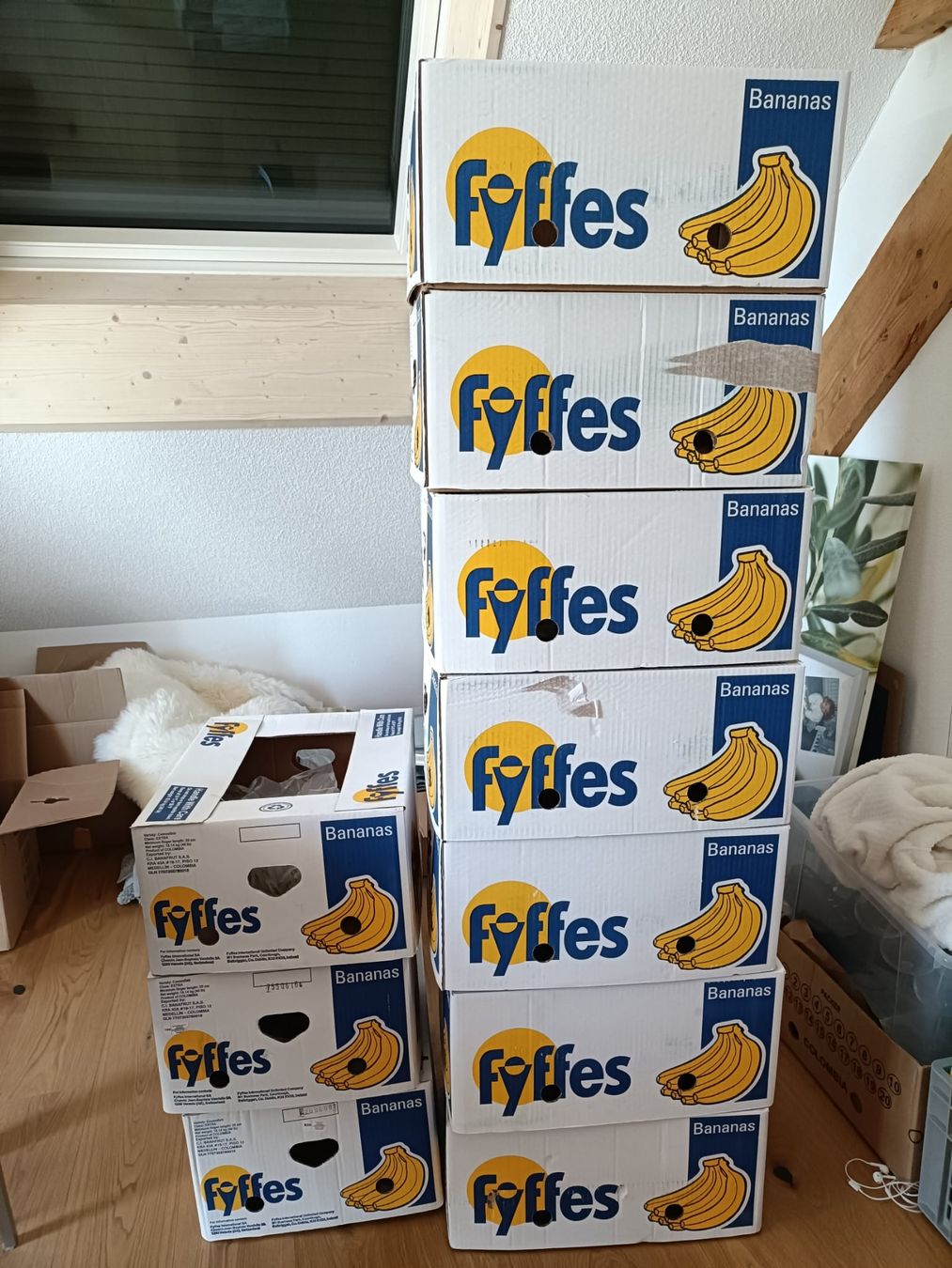 Cartoni: Bananenkisten – Nuovo (secondo la descrizione) da Neuenkirch venduto da Sickman
