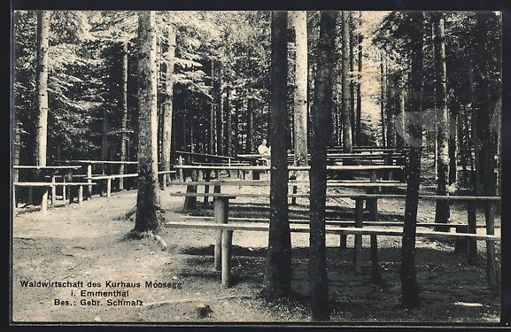 Cartes postales: Lauperswil /Emmenthal, Waldwirtschaft de – D'occasion à Berlin par bartko-reher