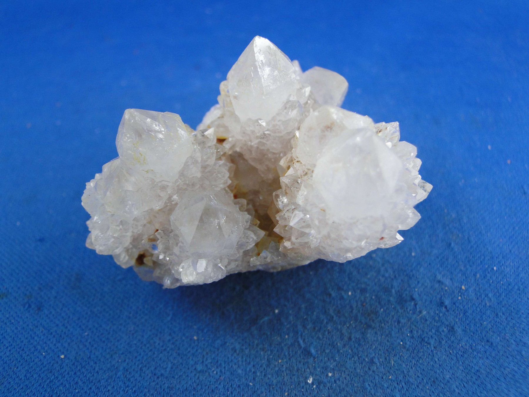 Mineralien & Heilsteine: Quartz var. Amethyst & Kaktus – Neu und originalverpackt aus Schinznach Bad von Demerald 8