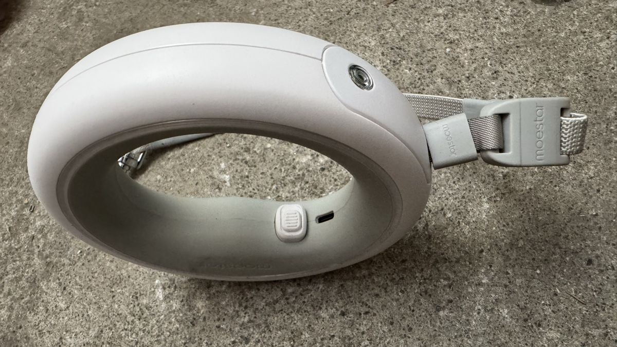 Lampade: 🔥Moestar Flexi Leash mit Lampe, neuwertig – Usato da Fällanden venduto da Limousinenswiss 3