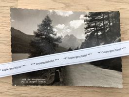 Engadin Silvaplanersee Piz La Margna alt AK