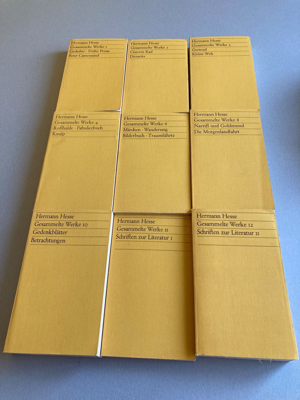 Libri: 9 Bücher von Hermann Hesse – Usato da Wald ZH venduto da Liedermacher
