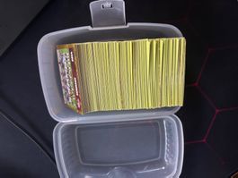 Panini Bilder