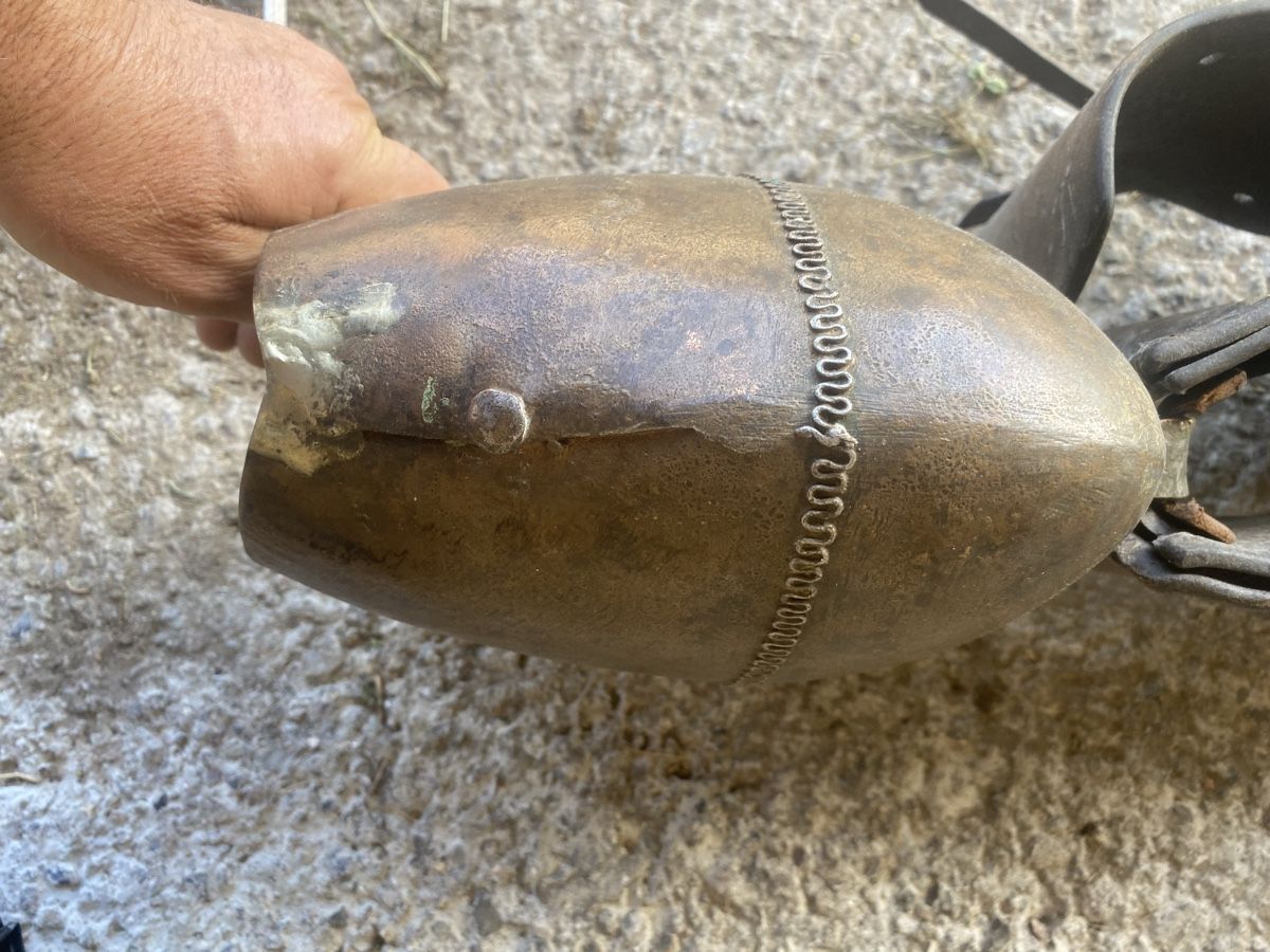 Campanacci mucche: Treichel  Glocke – Usato da Menzingen venduto da Edelmuni7 3