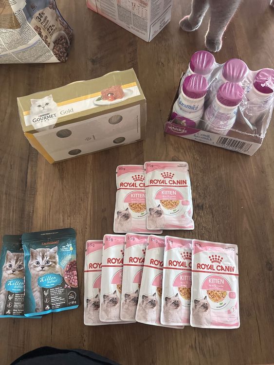 Katzefutter gourmet, royal canin kitten ,Whiskas katzenmilch Kaufen