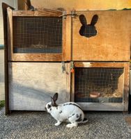 Clapier pour lapins, bois, 2 etages, bon etat
